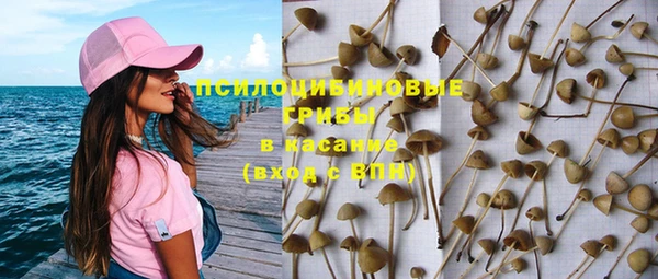 Альфа ПВП Алексин